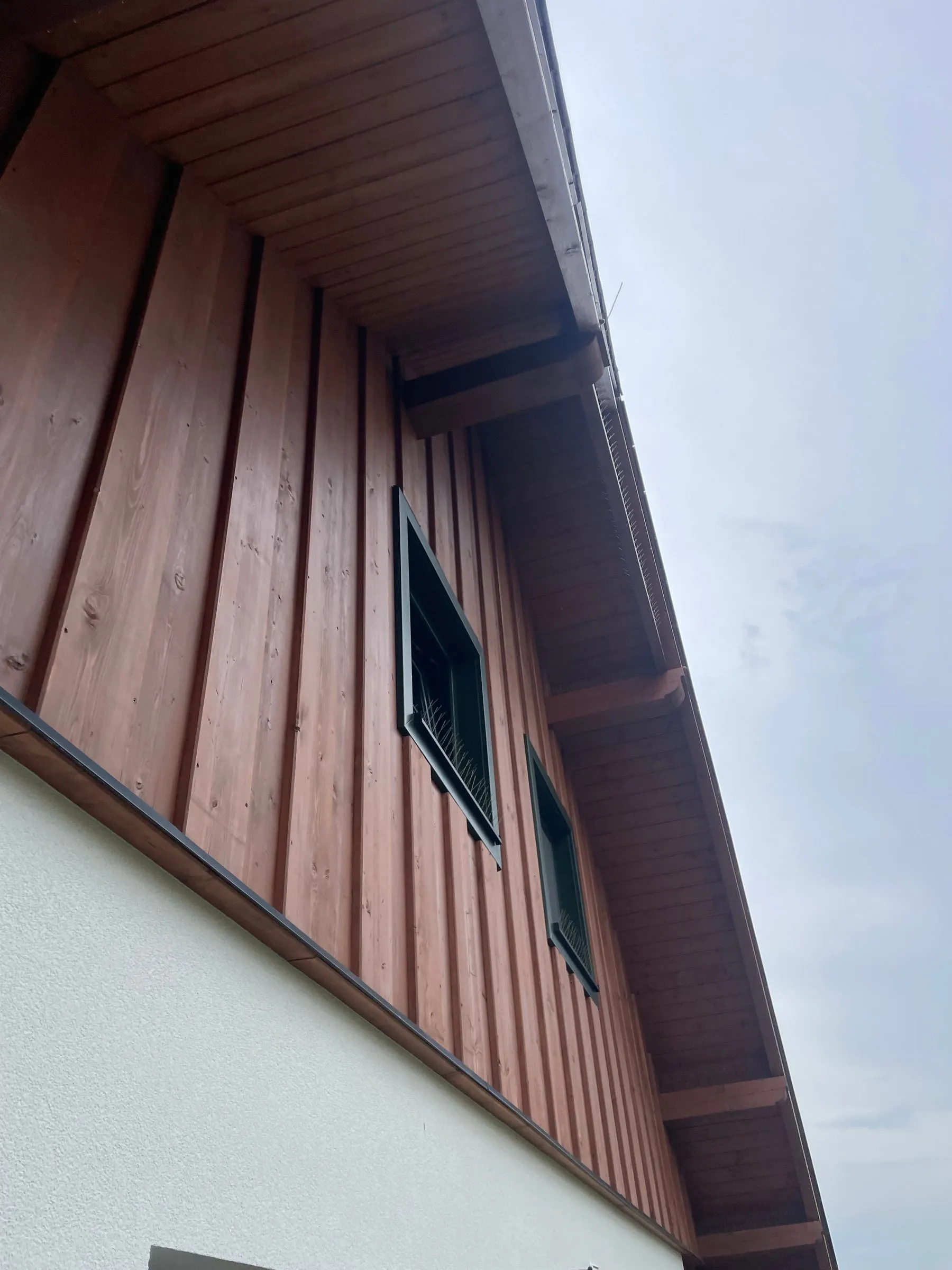 Podhled střechy s obnoveným tmavým nátěrem dřeva